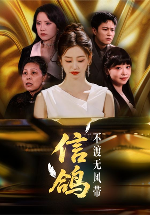 信鸽不渡无风带（65集）最新热门短剧