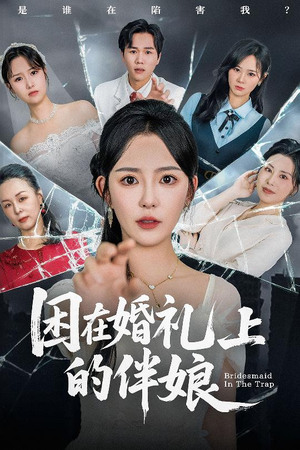 困在婚礼上的伴娘（60集）免费看全集