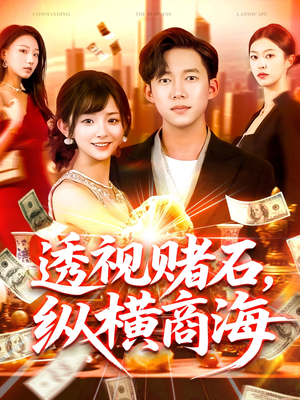 透视赌石，纵横商海（80集）精彩连连免费看