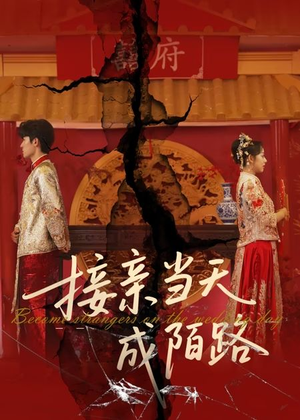 接亲当天成陌路（50集）短剧推荐分享
