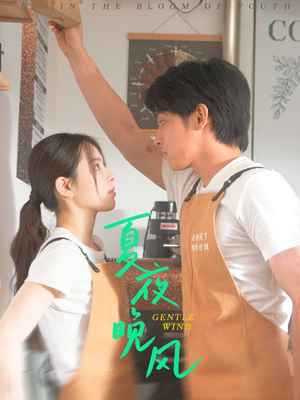 夏夜晚风（12集）精彩连连免费看