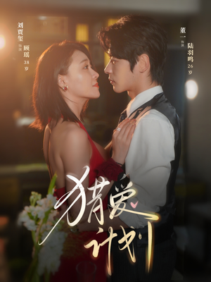 猎a计划（66集）经典老剧免费看