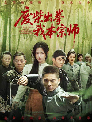 废柴出拳我本宗师（61集）最热短剧推荐
