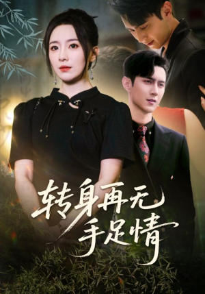 转身再无手足情（71集）短剧上头又好看