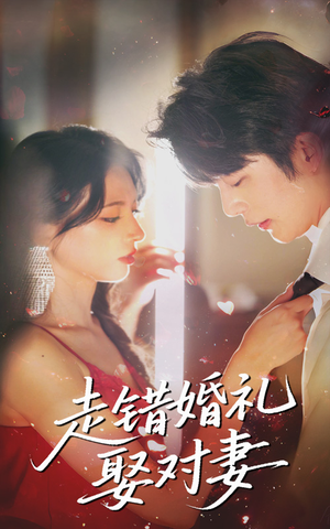 走错婚礼娶对妻（60集最新热播短剧