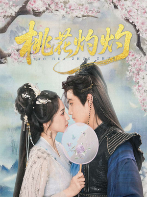 桃花灼灼（70集）评价怎么样