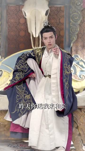 皇子和亲玄武门再见（65集）热门短剧看不停