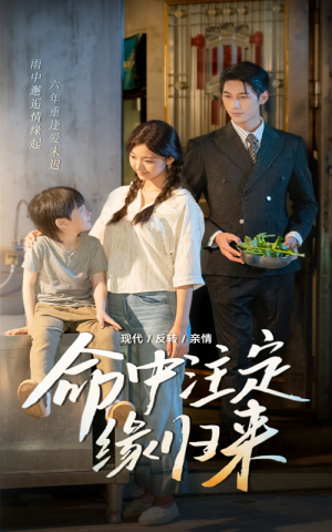 命中注定缘归来（63集）完整版免费观看
