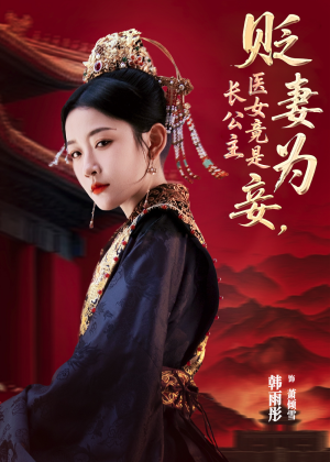 贬妻为妾医女竟是长公主（80集）更新时间