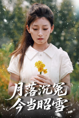 月落沉冤今当昭雪（60集）直接看到大结局