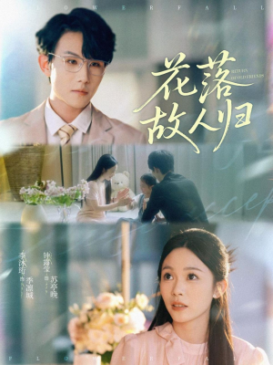 花落故人归（66集）短剧免费看