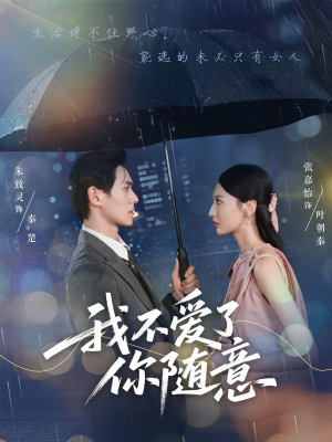 我不爱了你随意（60集）演员表