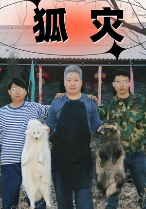狐灾（25集）免费短剧全集看