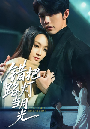 错把路灯当月光（40集）全集免费观看