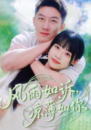 风雨如诉凉薄如你（70集）火爆短剧抢先看