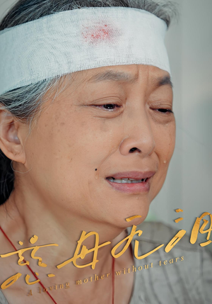慈母无泪（30集）好看短剧分享