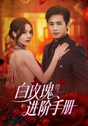 白玫瑰进阶手册（64集）免费热门短剧