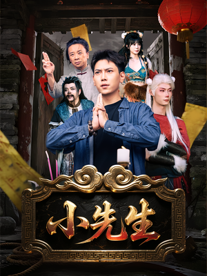小先生（79集）超好看短剧推荐