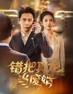 错把真龙当废婿（60集）热门火爆短剧