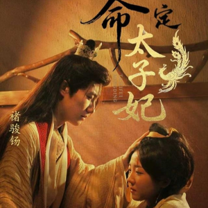 命定太子妃（63集）让你一口气看完