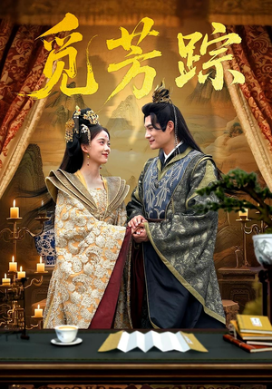 觅芳踪（91集）更新时间