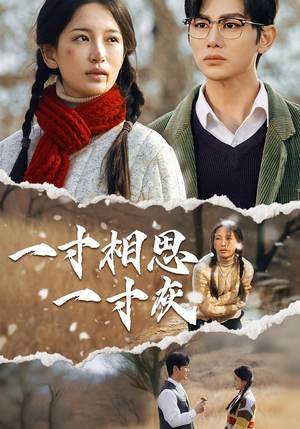一寸相思一寸灰（43集）在线看免费版