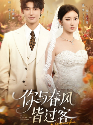 你与春风皆过客（66集）高清画质免费看