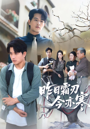昨日霜刃今亦寒（80集）短剧上头又好看