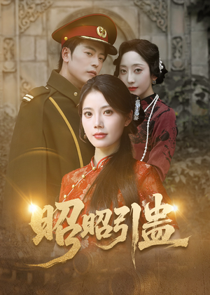昭昭引蛊（42集）免费观看