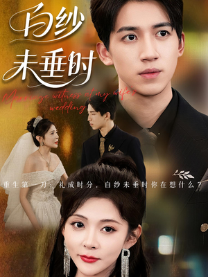 老婆婚礼，我当证婚人&老婆婚礼我当证婚人&白纱未垂时（54集）追短剧太上头了