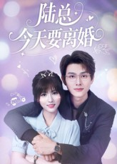 陆总今天要离婚（81集）零花钱看整部剧