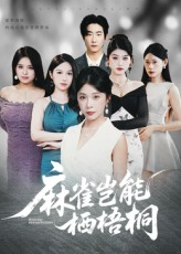 麻雀岂能栖梧桐（31集）精彩短剧追不停