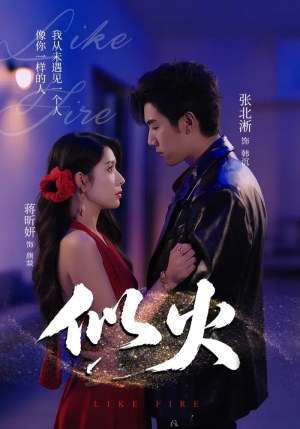 似火（80集）一共多少集