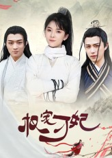 权宠刁妃（17集）高分推荐免费看