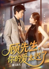 顾先生你的爱太迟了（60集）最后的大结局