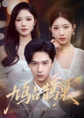 鸠占鹊巢&顶流夫人的致命陷阱（70集）红果免费看短剧