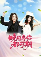 晚风与你都可期（50集）大结局太过瘾了
