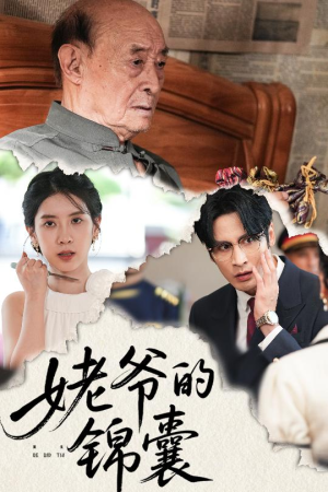 姥爷的锦囊（63集）每天短剧分享