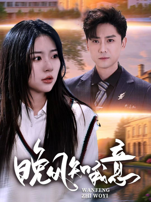 晚风知我意（50集）全集完整版