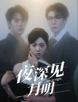 夜深见月明（50集）精彩短剧免费看