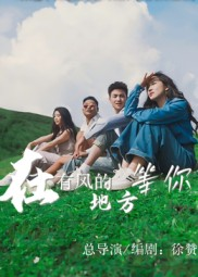 在有风的地方等你（32集）360网盘观看