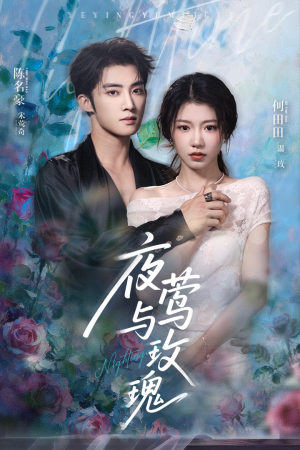 夜莺与玫瑰（66集）流畅播放免费看