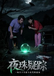 夜珠疑踪（30集）追短剧关注我