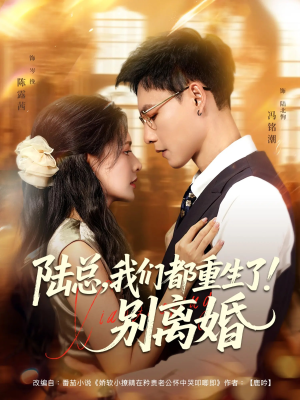 陆总我们都重生了别离婚（79集）在线看到大结局