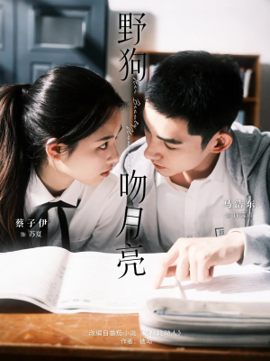 野狗吻月亮（68集）在哪里可以全集