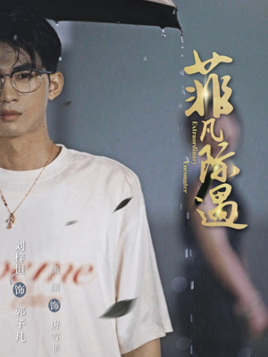 菲凡际遇（100集）在线观看完整版