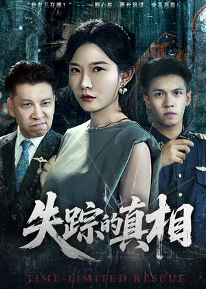 失踪的真相 （51集）直接看到大结局