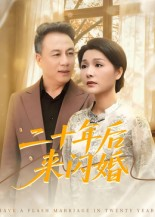 二十年后来闪婚（60集）哪个短剧网能看