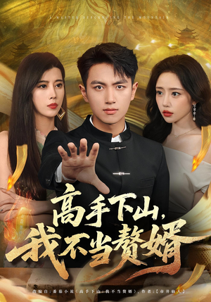 高手下山我不当赘婿（66集）热门短剧免费看