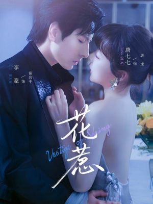 花惹（70集）演的怎么样